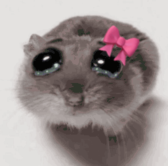Hamster Meme